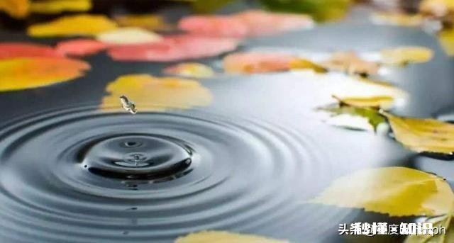 人,要远离生活中那些脾气太好的人,你认为呢为什么