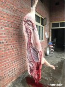 复工后哪个菜系的厨师失业最严重是什么原因导致的