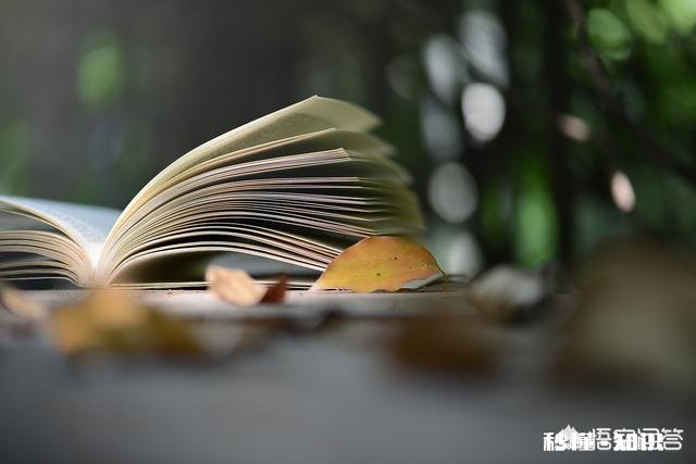 有些家长为什么指责自己的孩子读书都读傻了