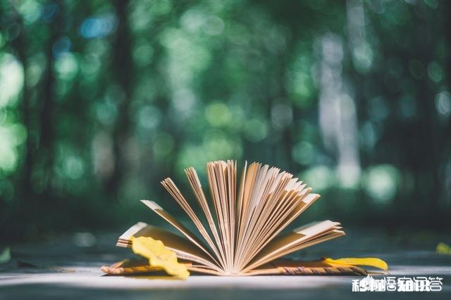 有些家长为什么指责自己的孩子读书都读傻了