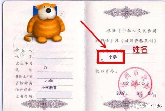 大山沟的都行 大专明年就毕业，想去当乡村小学当老师，有什么途径吗