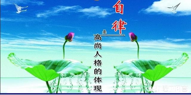 做到自律的最大动力源于什么