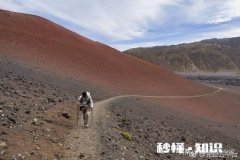 孩子在重庆上学，马上要开学准备中考，没有自驾车如何回重庆比较好