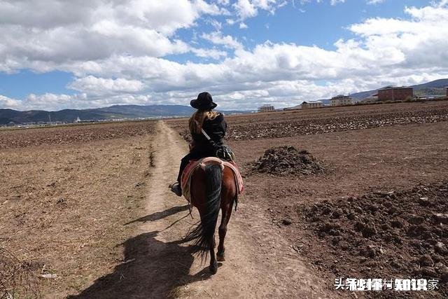 孩子在重庆上学,马上要开学准备中考,没有自驾车如何回重庆比较好