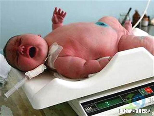 农村俗语：“臀宽腰圆，生孩子不难”，真的准吗有什么科学依据