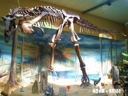 犄角和獠牙哪个更厉害感觉吃素的长犄角,吃荤的长獠牙。以前是不是既有犄角也有獠牙