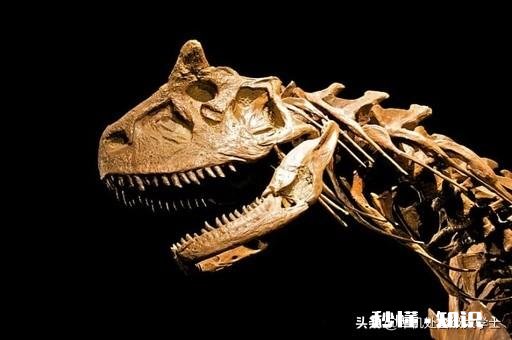 犄角和獠牙哪个更厉害感觉吃素的长犄角,吃荤的长獠牙。以前是不是既有犄角也有獠牙