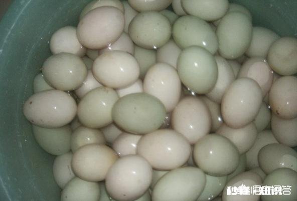 腌咸鸭蛋有哪些小妙招