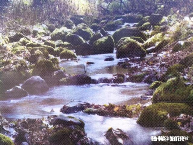 用福田150正三轮适合进藏旅游吗