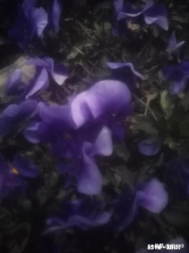 新冠肺炎疫情到现在还没结束，它会影响大多数人的发展方向吗