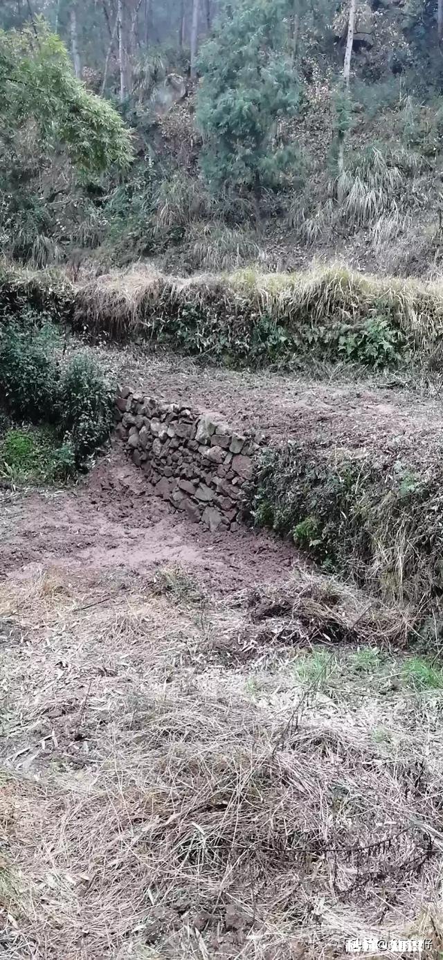 新冠肺炎疫情到现在还没结束，它会影响大多数人的发展方向吗