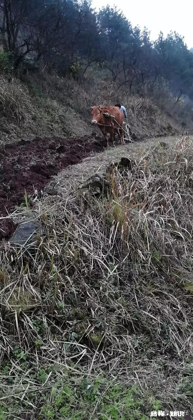 新冠肺炎疫情到现在还没结束，它会影响大多数人的发展方向吗