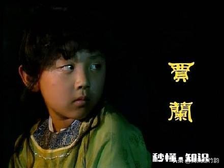 《红楼梦》中贾母和王夫人为什么都不宠贾兰