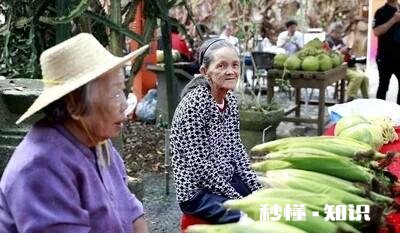 地摊经济看农业，大家如何看