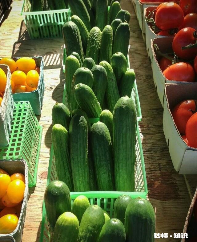 地摊经济看农业，大家如何看