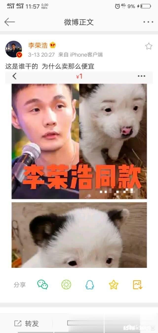 眼睛小的人怎么自嘲