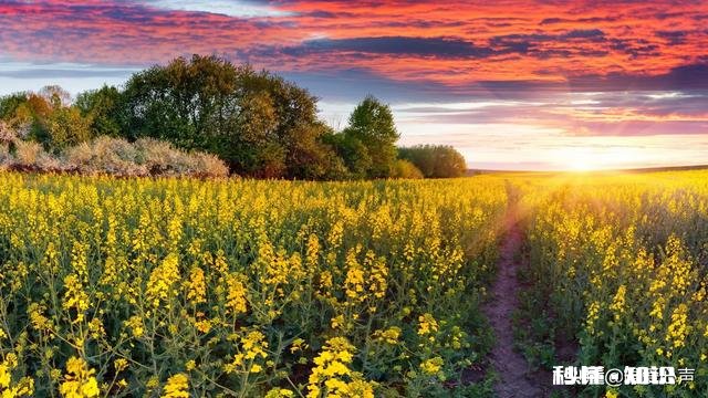 请实话实说 如果婚姻让你重新选择一次，有多少人还会选择和自己身边的爱人在一起