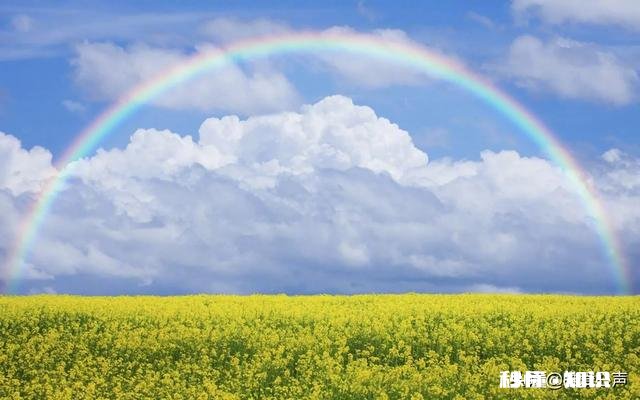 请实话实说 如果婚姻让你重新选择一次，有多少人还会选择和自己身边的爱人在一起