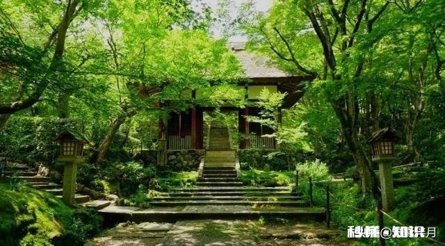 口头禅是我觉得的人，一般是什么性格