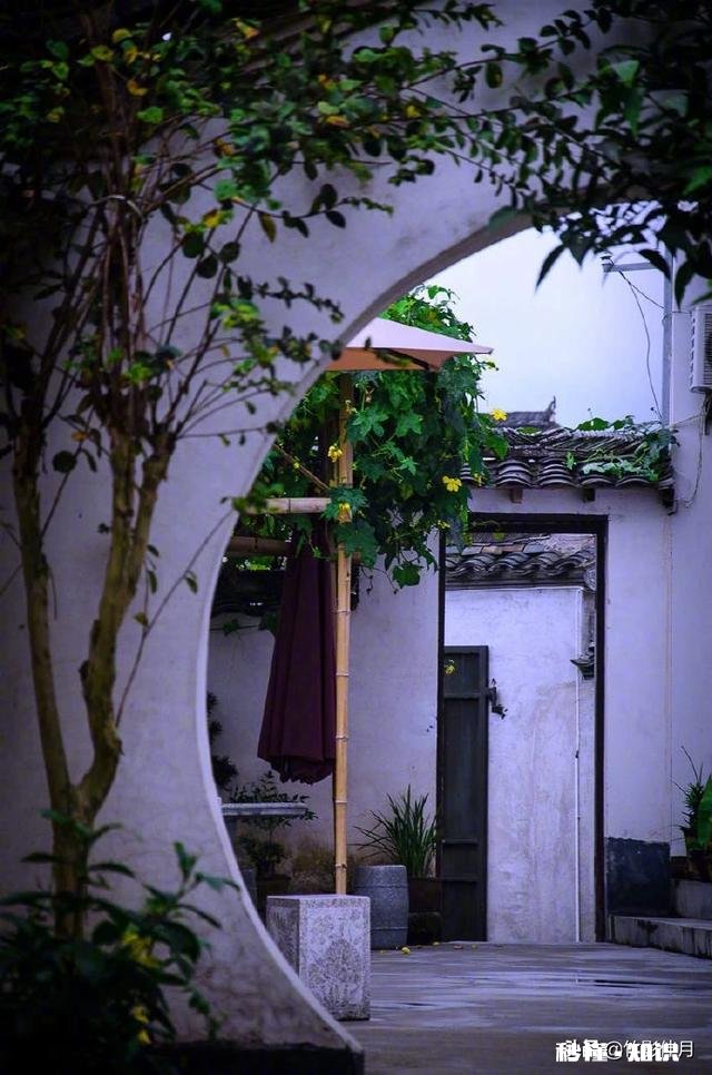 口头禅是我觉得的人，一般是什么性格