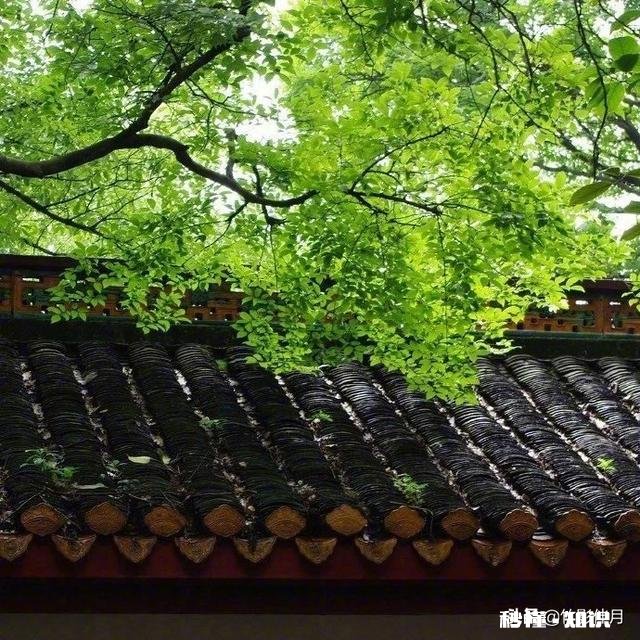 口头禅是我觉得的人，一般是什么性格