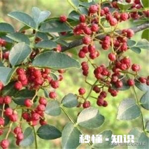 是哪几种原因造成农村有些土特产滞销你有什么要对农民说吗