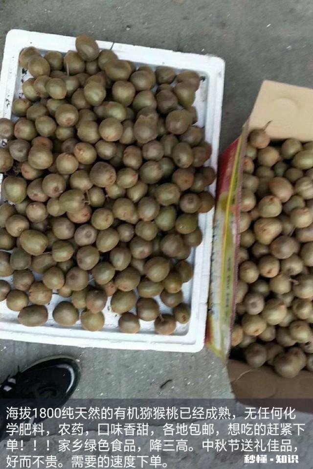 是哪几种原因造成农村有些土特产滞销你有什么要对农民说吗