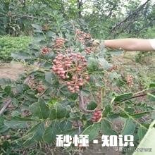 是哪几种原因造成农村有些土特产滞销你有什么要对农民说吗