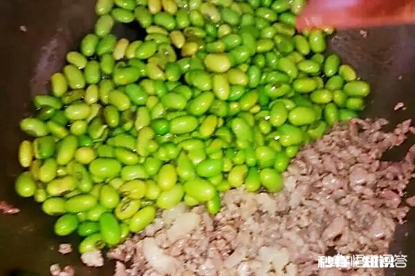 毛豆怎么炒好吃呢