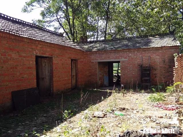 为什么回到老家，虽然家已经不在这里了，依然感到很亲切，心里会有踏实的感觉