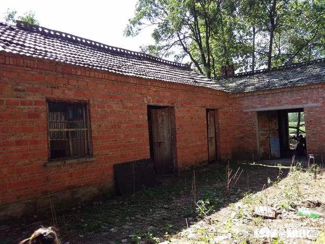 为什么回到老家，虽然家已经不在这里了，依然感到很亲切，心里会有踏实的感觉