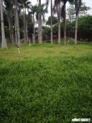 结婚三年，没有孩子，老公提出离婚，继续挽留还是离婚