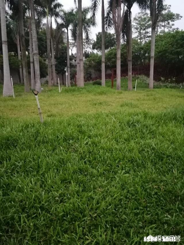 结婚三年，没有孩子，老公提出离婚，继续挽留还是离婚