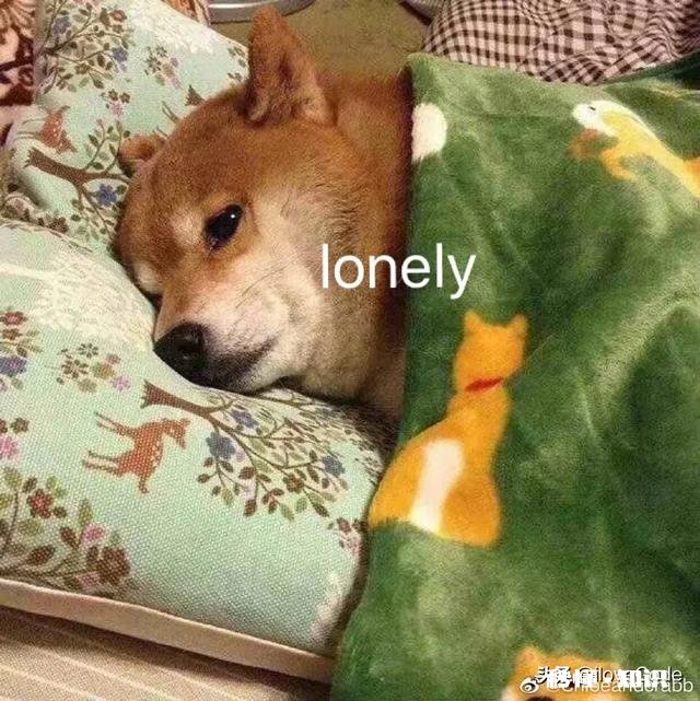 有哪些很甜的表情包