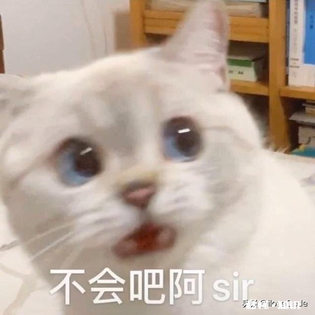 有哪些很甜的表情包