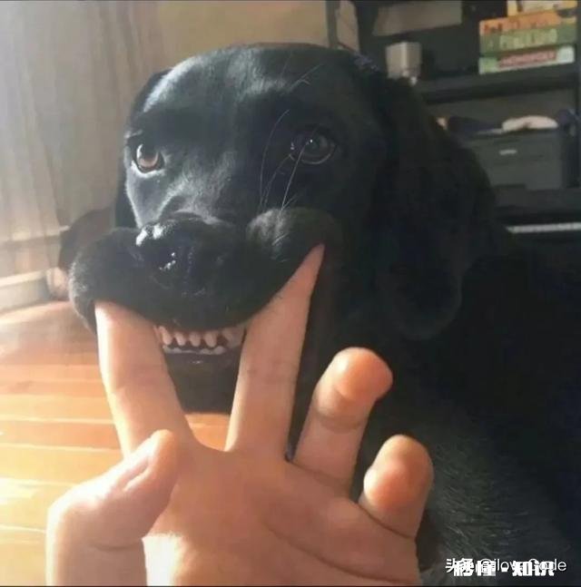 有哪些很甜的表情包