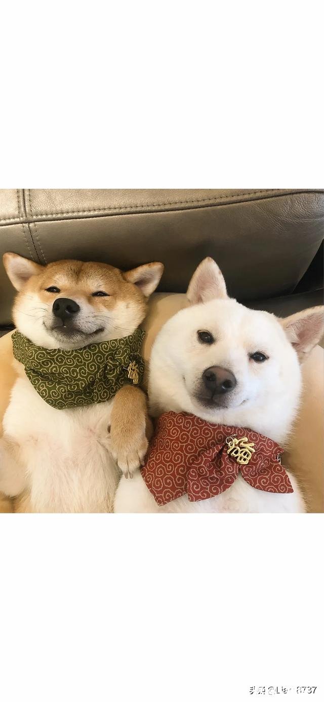 有哪些很甜的表情包