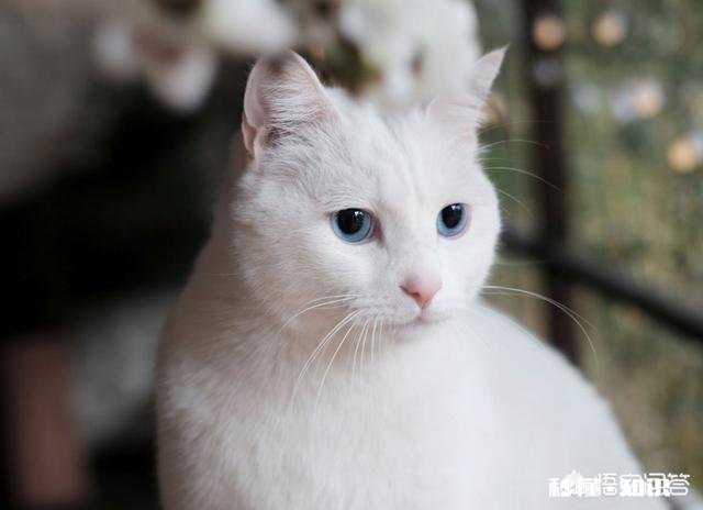 27岁学英语晚吗