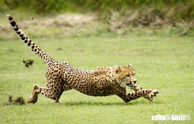 27岁学英语晚吗