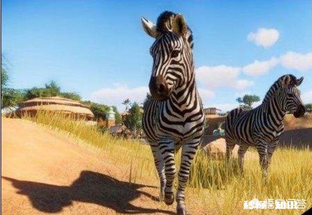 27岁学英语晚吗