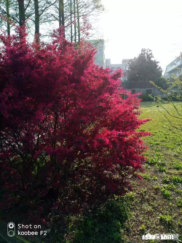 高考前面几天发生了什么记忆犹新的事情