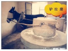 平台重要还是钱重要