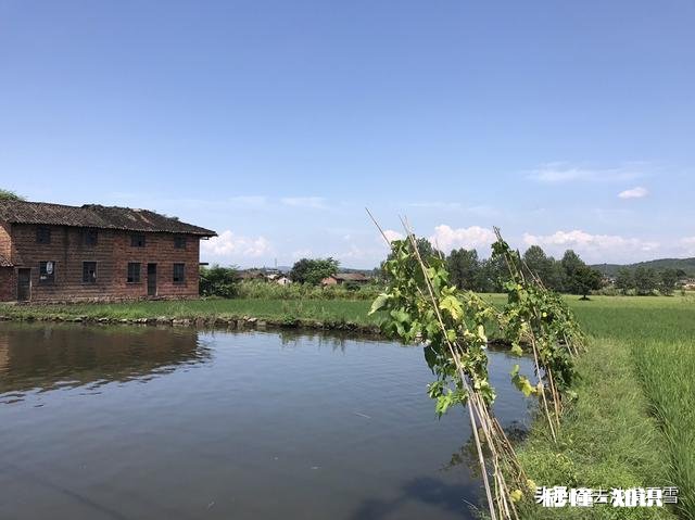 10.1假期去哪里玩比较好呢