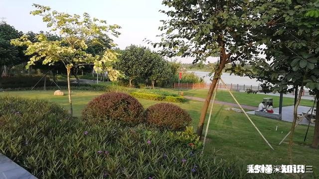 营养不良怎么办