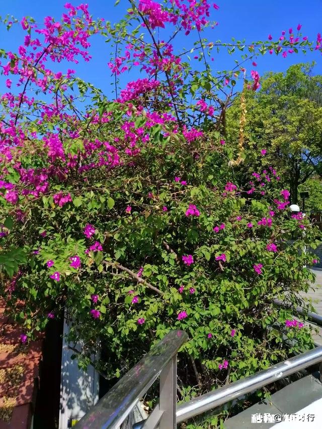 女朋友把她以前的相亲经历都告诉我是什么意思