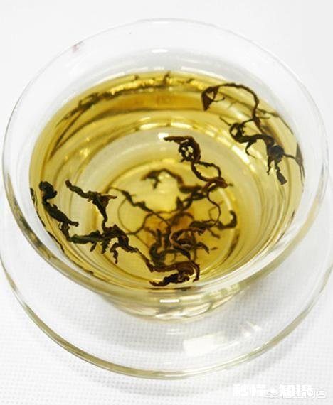 蒲公英见过，蒲公英茶喝过吗