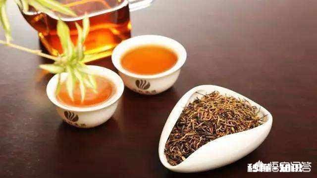 蒲公英见过，蒲公英茶喝过吗