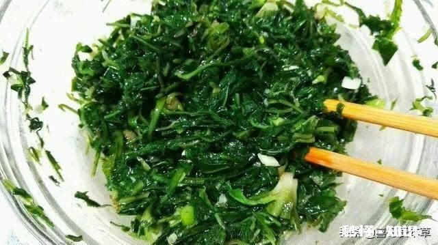 蒲公英见过，蒲公英茶喝过吗