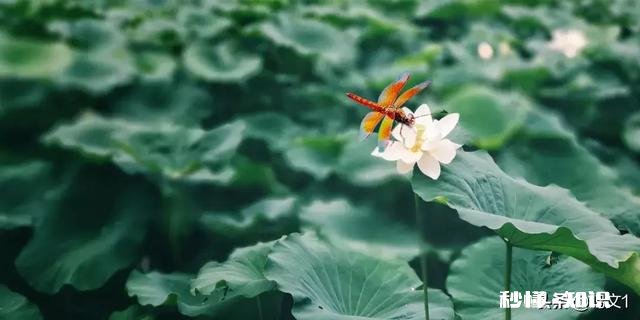 我精神出了什么问题