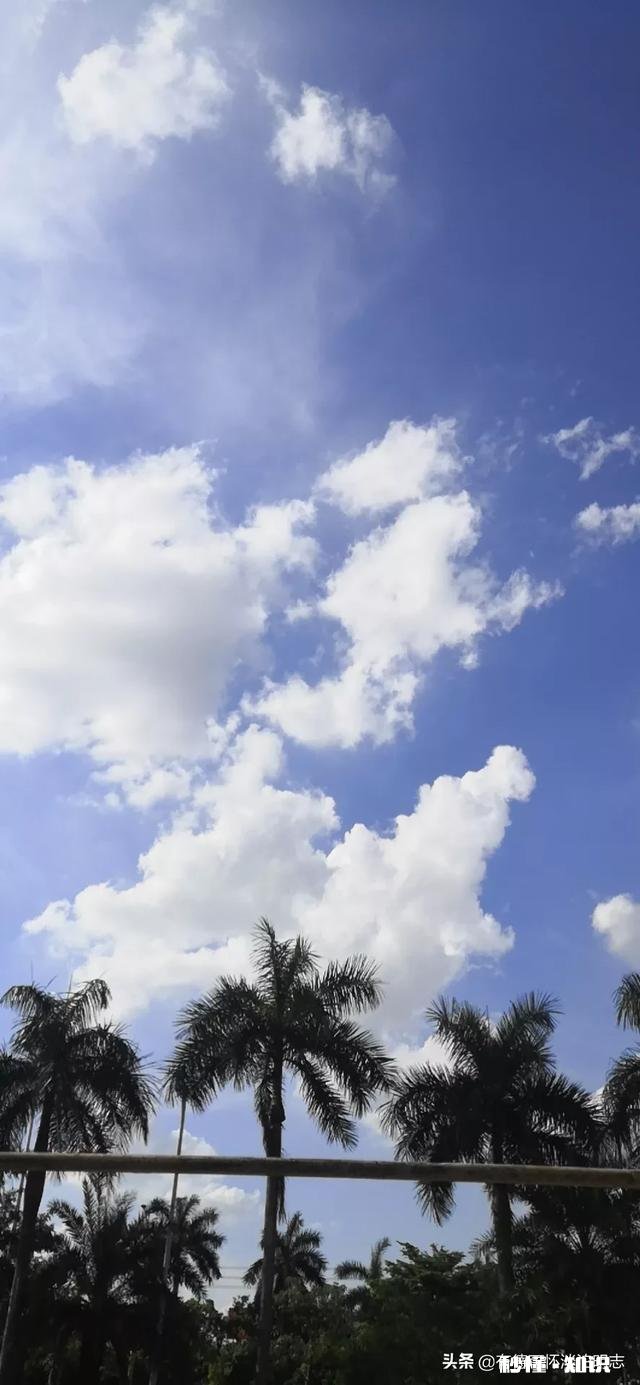 我精神出了什么问题